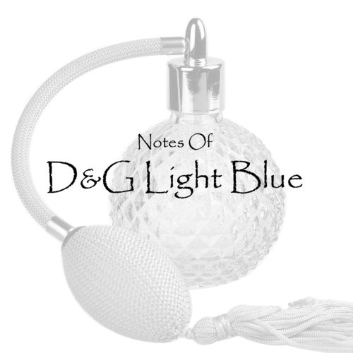 D & G Light Blue