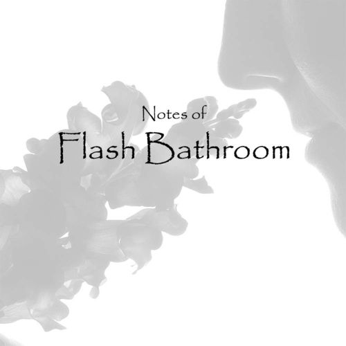 Flash Bathroom