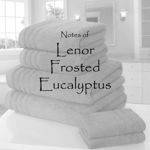 Lenor Frosted Eucalyptus