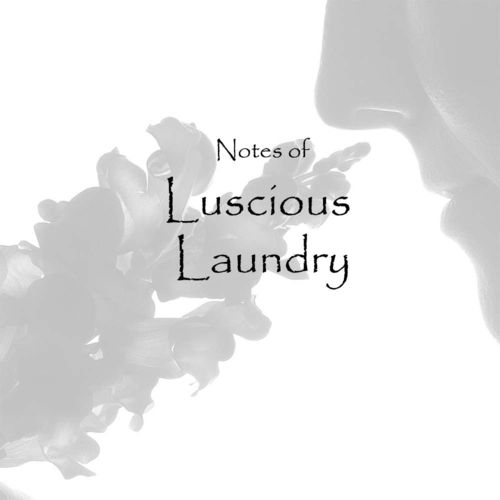 Luscious Laundry