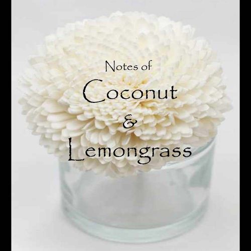 Coconut & Lemongrass Flower Diffuser