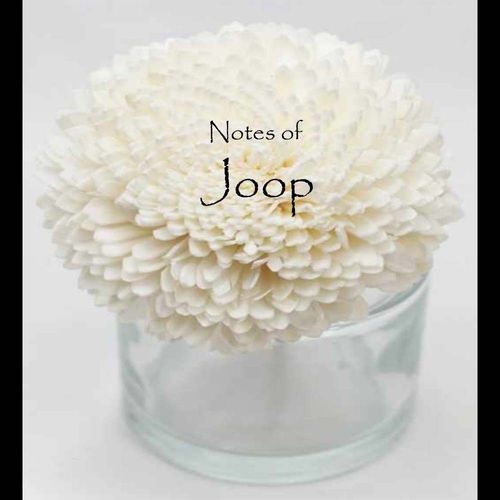 Joop Flower Diffuser