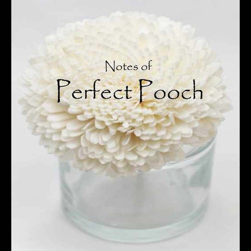 Perfect Pooch Flower Diffuser
