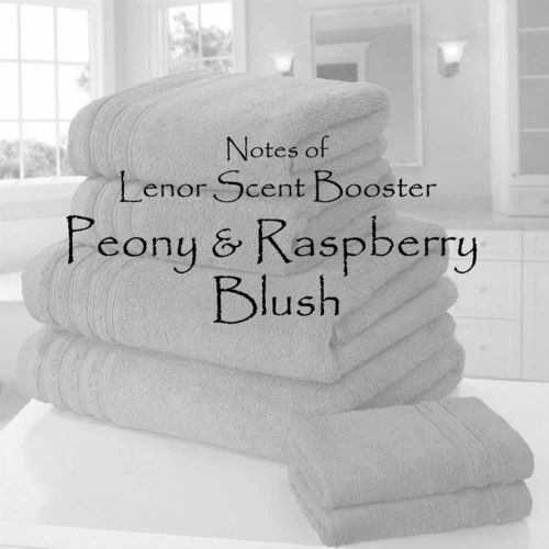 Lenor Peony & Raspberry Blush