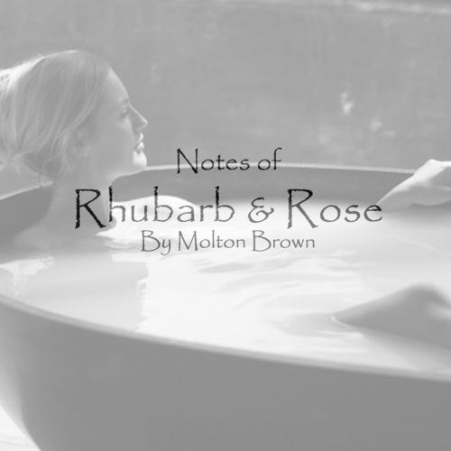 Rhubarb & Rose