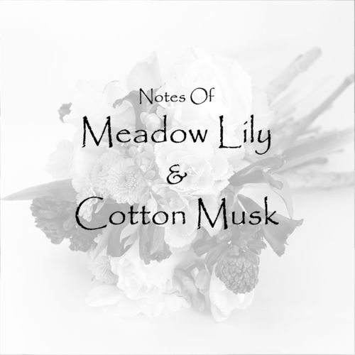 Meadow Lily & Cotton Musk