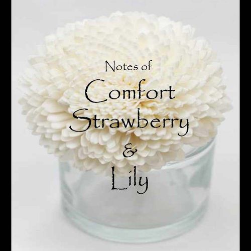 Comfort Strawberry & Lily Flower Diffuser