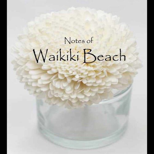 Waikiki Beach Flower Diffuser