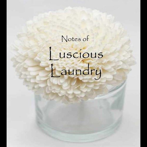 Luscious Laundry Flower Diffuser