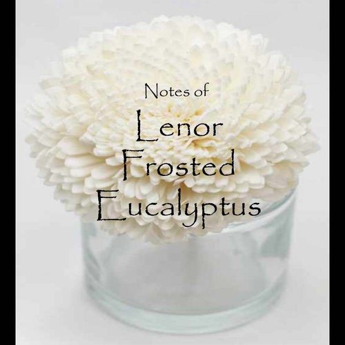 Lenor Frosted Eucalyptus Flower Diffuser