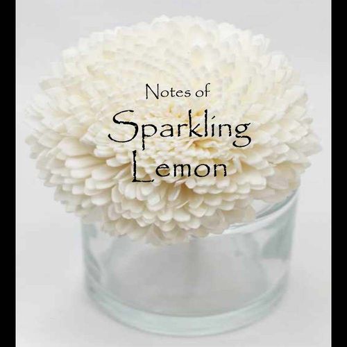 Sparkling Lemon Flower Diffuser