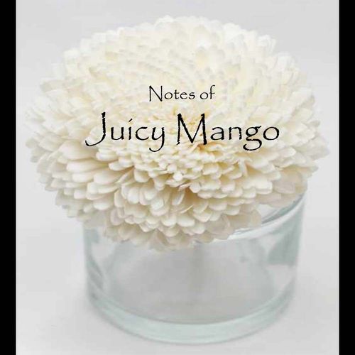 Juicy Mango Flower Diffuser