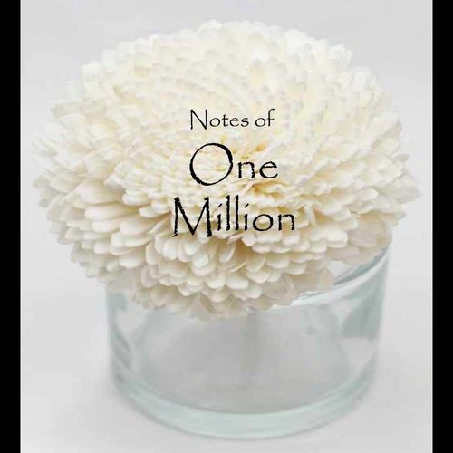1 Million Flower Diffuser